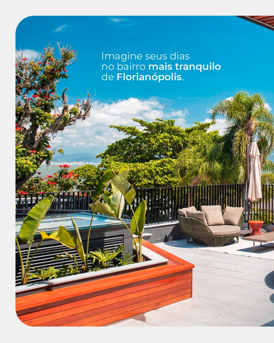 B. Living · Tráfego Pago